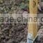 stainless steel wide head hoe with wooden handle