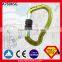 Screw Lock 25KN Mountain Climbing Carabiner With CE&UIAA Certificate