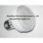 LED bulb lights