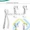 Dental Tooth Extracting Forceps / Dental Instruments / Dental Syringes