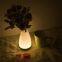 LED Novelty Light