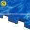 Eve Foam Interlocking Floor Martial Art Tatami Grappling Mat