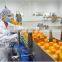 Fruit juicer machine orange juice production line