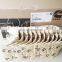 Genuine Chongqing Cummins KTA38 engine con-rod bearing 3047390 206160