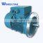 crane motor brake