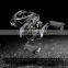 2020 новый SHIMANO CURADO MGL 70HG 70XG 71HG 71XG низкопрофильный оригинальный бейткаст-моток для рыбалки