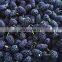 Healthy taste good frozen mulberry freeze mulberry