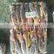 illex squid frozen illex squid price whole round all size