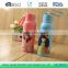 Fashion 320ml Pyrex glass tea cup cute baby or student water bottle