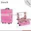 Fashional design pink lighted mirror cosmetic makeup beauty trolley carring case