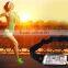 Waterproof Running Sport Mobile Phone Waist Bag for iPhone 6 6S Plus for Samsung S6 Edge