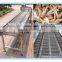 segmentation conveyor!poultry equipment/chicken plucking machine