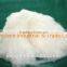 China Factory Raw White Cashmere Fiber For Cashmere scarf