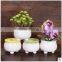 2016 colorful table round porcelain flower pot ceramic plant pots yellow for wholesale