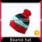 Knitted custom plain beanie hat and cap