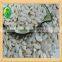 China Shine Skin raw Pumpkin Seeds 10mm 11mm 12mm up stock online promotion