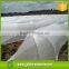 Frost Protection with Pp Nonwoven Fabric Roll for Flower Cover/UV resistant pp nonwoven fabric plant cover black/white