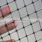 Small hole Anti bird garden netting,plastic,black,aperture size 12mm square hole