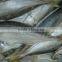 Good price seafood frozen horse mackerel WR on sale
