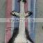 Real Red Fox Fur Plate / Natural Fur / Silver Fox Fur Skin