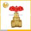 New Products CW617n Brass Hot Forged Gate Valve DN20