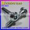 Taiwan Supplier One Way Security M5 Screw Zinc
