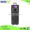 Professional high power daul 10" inch trolley speaker with 500G storage