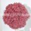 Short Red Explosion Fans Wig for Christmas N221