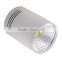 Good quality IP65 20W led waterproof downlight With White/Black Housing Colors