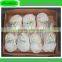 whole frozen chicken for export