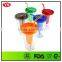 16 oz reusable double wall Plastic Fruit Infuser Water tumbler