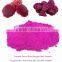 Dry Fruit powder Export to US : Vacuum Freeze Dried Red Dragon fruit powder from Thailand