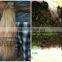 Remy single Drawn human hair in india