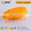 Food grade disposable PET plastic blister clamshell for vegetable and fruit