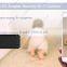 very specific security/nanny camera - wireless dvr 4000mah rechargable battery operated hidden security wireless camera
