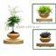 new gift levitation plant pots for wholesale