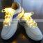 Fashion LED shoelace .