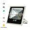 oval shape black frame 30w led flood light