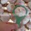 Common Cultivation Type and Fresh Style dry garlic