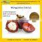 GMP supply high quality Mangosteen Extract Mangostine Powder