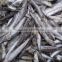 Good Quality Frozen Block Anchovy Fish
