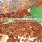 Red Coffee Bean Shelling Machine / Cocoa Sheller / Desheller / Shell Remover