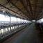 Dairy   cowhouse  Hanging cow  fan