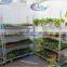 730 Seedling pool rack
