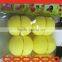 2016 HOT Hair Roller Sponge DIY easy-used for stylish hair
