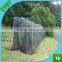 Plastic Anti Bird Net/Capture Bird Net/Agriculture Bird Net