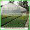 single-span large tunnel solar greenhouse for flower/vegetable growing