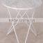 Cooper Metal stainless steel Frame with Glass-top Round End Table for the living room