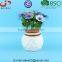 Dolomite Material Biodegradable Planter Small Ceramic Planter for Succulent Plants