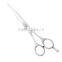 Professional hair cutting scissors